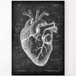 Laden Sie das Bild in den Galerie-Viewer, Heart anatomy poster