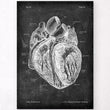 Laden Sie das Bild in den Galerie-Viewer, Dissected heart anatomy print