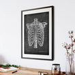 Load image into Gallery viewer, Rib cage poster