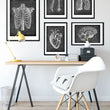 Load image into Gallery viewer, Rib cage anatomy - Chalkboard