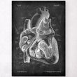Laden Sie das Bild in den Galerie-Viewer, Dissected heart anatomy poster