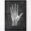 Laden Sie das Bild in den Galerie-Viewer, Hand anatomy poster