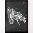Load image into Gallery viewer, Inner ear anatomy poster