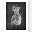 Laden Sie das Bild in den Galerie-Viewer, Rumpfmuskulatur Anatomie - Chalkboard