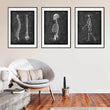 Load image into Gallery viewer, Skeleton anatomy chart