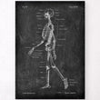 Load image into Gallery viewer, Skeleton chart