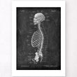 Load image into Gallery viewer, Skeleton sagittal view poster