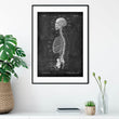 Load image into Gallery viewer, Anatomical skeleton chart