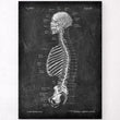 Load image into Gallery viewer, Skeleton sagittal view art print
