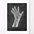 Laden Sie das Bild in den Galerie-Viewer, Vascular anatomy of hand