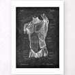 Laden Sie das Bild in den Galerie-Viewer, Torso muscles art print