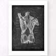 Laden Sie das Bild in den Galerie-Viewer, Back muscles poster