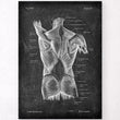 Laden Sie das Bild in den Galerie-Viewer, Back muscles anatomy poster