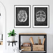 Laden Sie das Bild in den Galerie-Viewer, Brain anatomy labeled poster