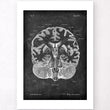 Laden Sie das Bild in den Galerie-Viewer, Brain anatomy poster