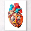 Laden Sie das Bild in den Galerie-Viewer, Heart anatomy art