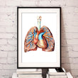 Load image into Gallery viewer, Geometrical Heart and lungs anatomy art poster by codex anatomicus