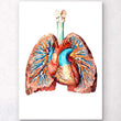 Load image into Gallery viewer, Heart and lungs art poster