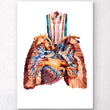 Load image into Gallery viewer, Heart and lungs art poster