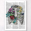 Laden Sie das Bild in den Galerie-Viewer, Rib cage dictionary art print