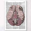 Laden Sie das Bild in den Galerie-Viewer, Brain anatomy dictionary art print