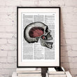 Charger l'image dans la galerie, Skull anatomy dictionary art print