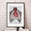 Charger l'image dans la galerie, Heart and lungs anatomy dictionary art print
