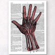 Charger l'image dans la galerie, Hand anatomy dictionary art