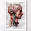 Laden Sie das Bild in den Galerie-Viewer, Head and brain dictionary art print