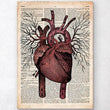 Laden Sie das Bild in den Galerie-Viewer, Heart anatomy dictionary art print