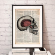 Laden Sie das Bild in den Galerie-Viewer, Skull dictionary art print
