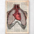 Laden Sie das Bild in den Galerie-Viewer, Heart and lungs dictionary art print