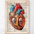 Laden Sie das Bild in den Galerie-Viewer, Geometric heart anatomy - Old dictionary page