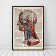 Charger l'image dans la galerie, Geometric head anatomy on old dictionary page