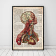 Laden Sie das Bild in den Galerie-Viewer, Geometric head anatomy II on old dictionary page