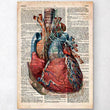 Laden Sie das Bild in den Galerie-Viewer, Heart anatomy dictionary print