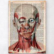 Laden Sie das Bild in den Galerie-Viewer, Geometric face dictionary print