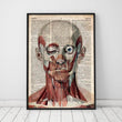 Laden Sie das Bild in den Galerie-Viewer, Geometric face anatomy poster on old dictionary page