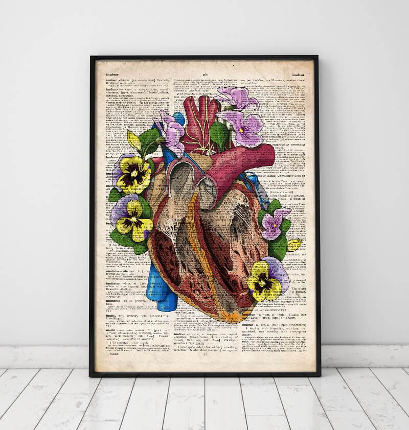 Heart anatomy dictionary art print – Codex Anatomicus