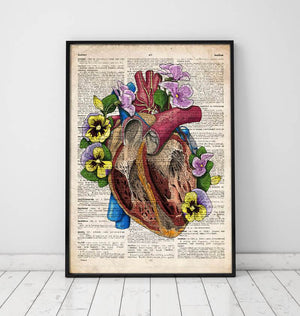 Heart anatomy dictionary art print