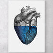 Laden Sie das Bild in den Galerie-Viewer, Anatomy art print