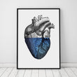 Laden Sie das Bild in den Galerie-Viewer, Heart anatomy poster