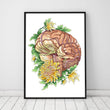 Load image into Gallery viewer, Brain anatomy print