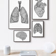 Load image into Gallery viewer, Minimalist anatomy art