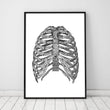 Laden Sie das Bild in den Galerie-Viewer, Minimal rib cage anatomy poster by Codex Anatomicus