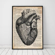 Laden Sie das Bild in den Galerie-Viewer, Heart anatomy medical poster on dictionary page