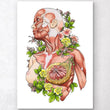 Laden Sie das Bild in den Galerie-Viewer, Weibliche Körper Anatomie - Weiß