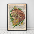 Laden Sie das Bild in den Galerie-Viewer, Brain anatomy vintage