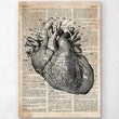 Load image into Gallery viewer, Heart anatomy art