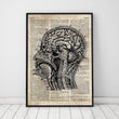 Load image into Gallery viewer, Head section poster